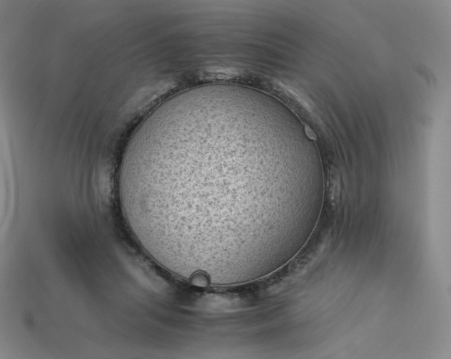 X0000114090455200910191606