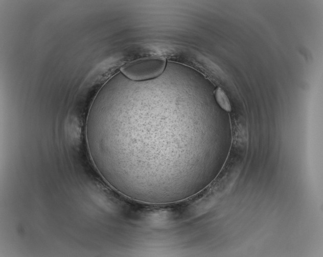 X0000114090456200910191606