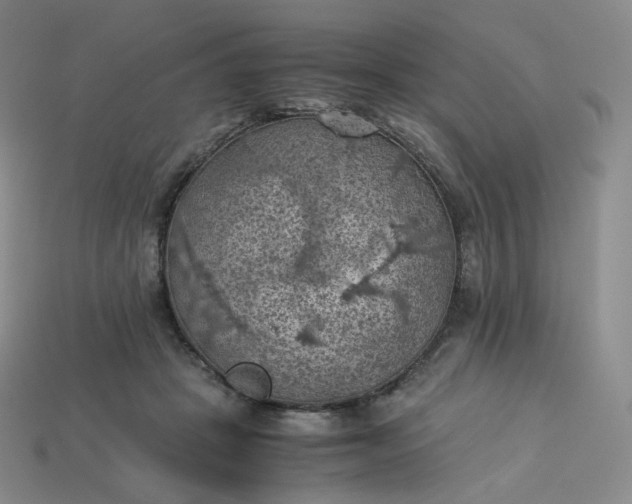 X0000114090457200910191606