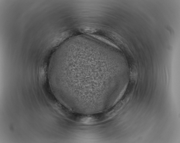 X0000114090460200910191607