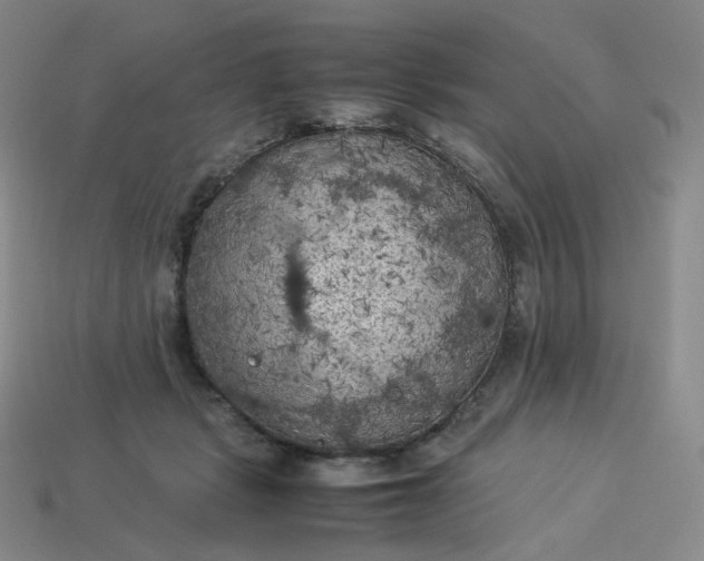 X0000114090461200910191607