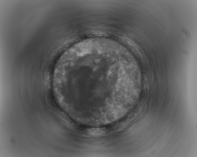 X0000114090465200910191607