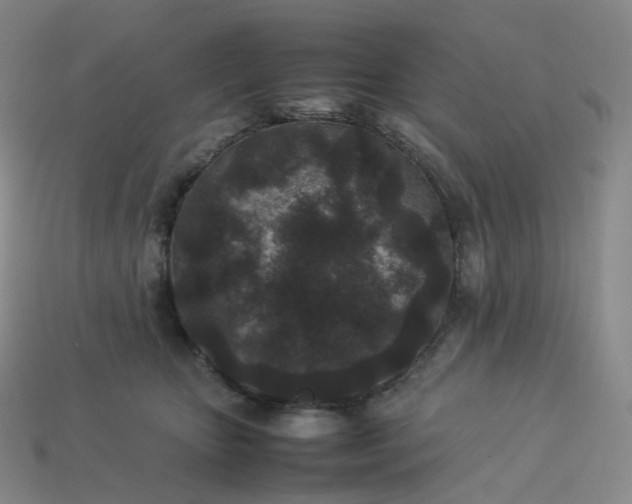 X0000114090467200910191607