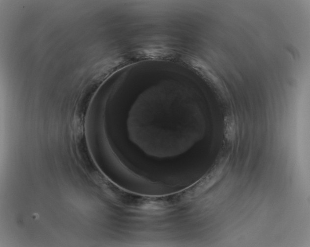X0000114090471200910191607