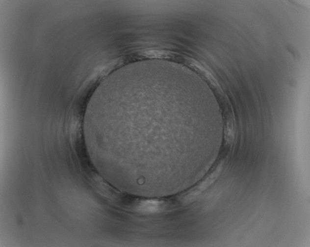 X0000114090473200910191607