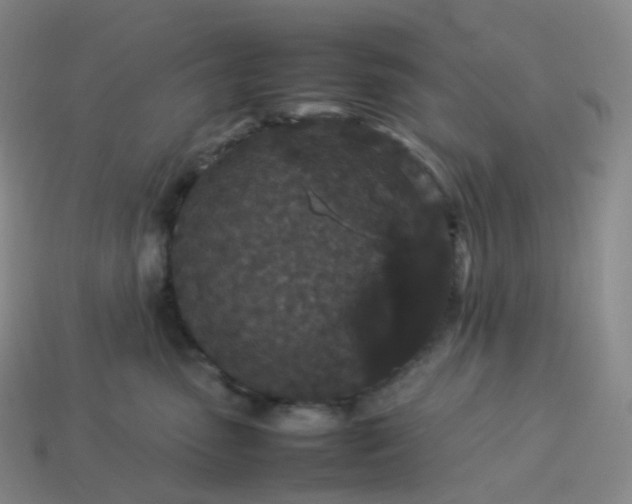 X0000114090475200910191607