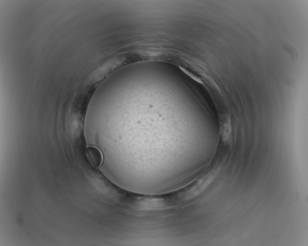 X0000114090476200910191607