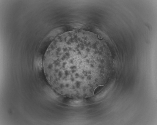 X0000114090479200910191607
