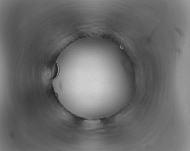 X0000114090480200910191607