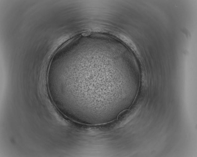 X0000114090481200910191606