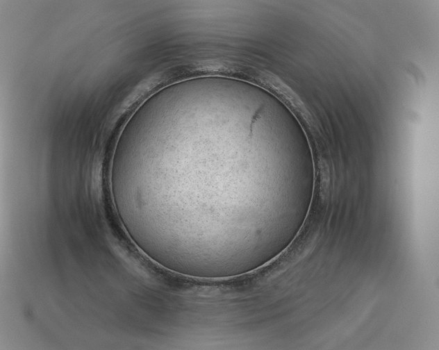 X0000114090482200910191606