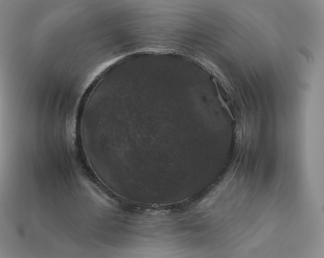 X0000114090484200910191606