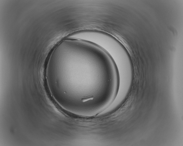 X0000114090485200910191606