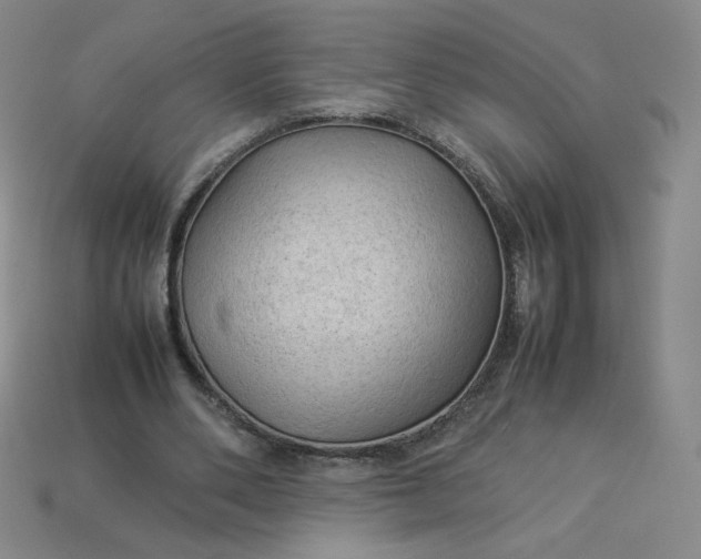 X0000114090486200910191606