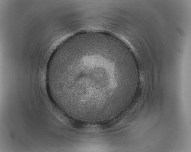 X0000114090487200910191606