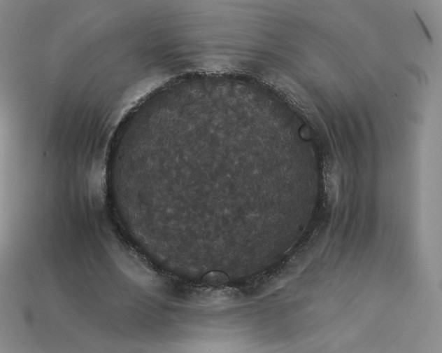 X0000114090488200910191606