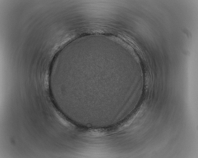 X0000114090489200910191606