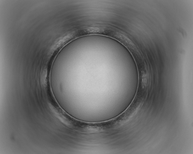 X0000114090490200910191606