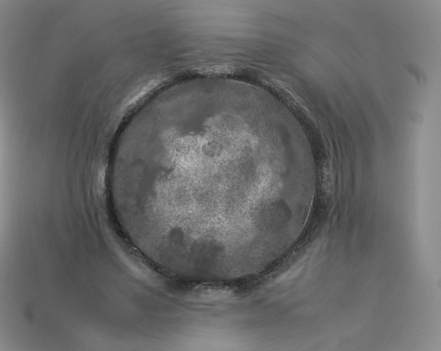 X0000114090491200910191606