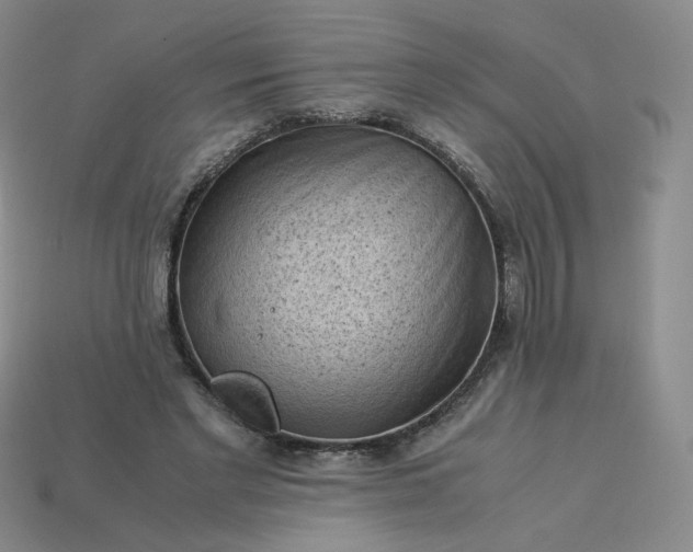 X0000114090493200910191606