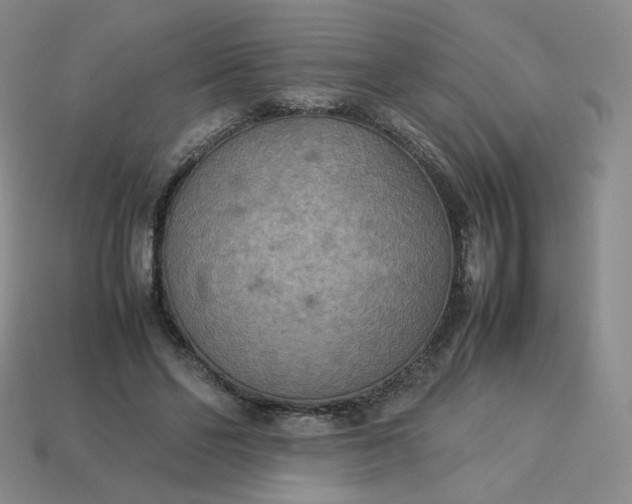 X0000114090494200910191606