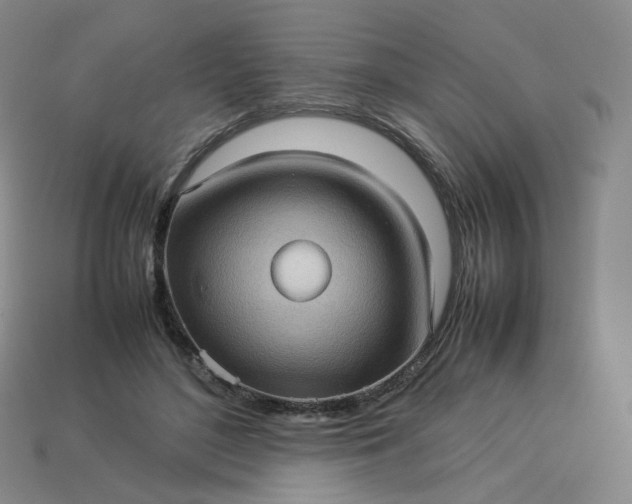 X0000114090500200910191606