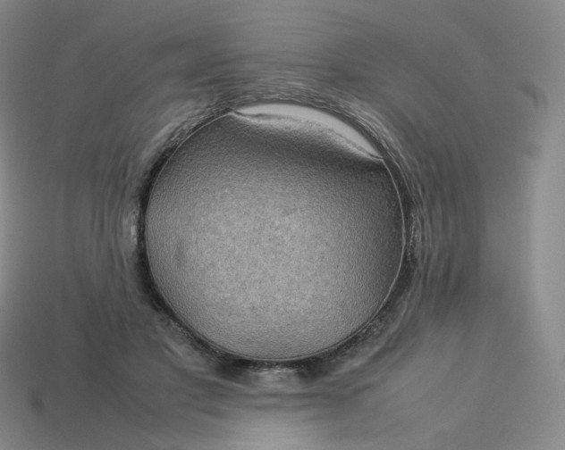 X0000114090501200910191606