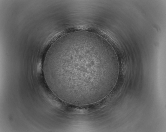 X0000114090502200910191606
