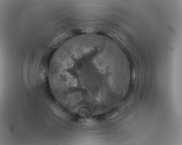 X0000114090503200910191606