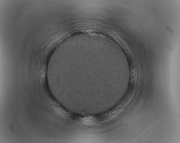 X0000114090505200910191606