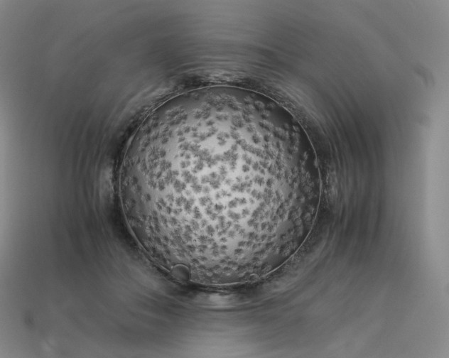 X0000114090506200910191606