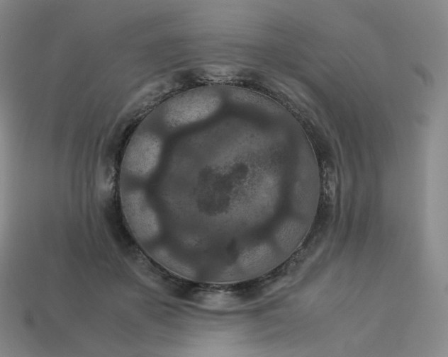 X0000114090507200910191606