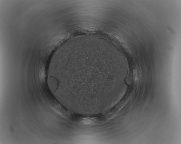 X0000114090508200910191606