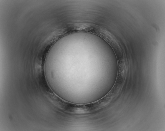 X0000114090510200910191606