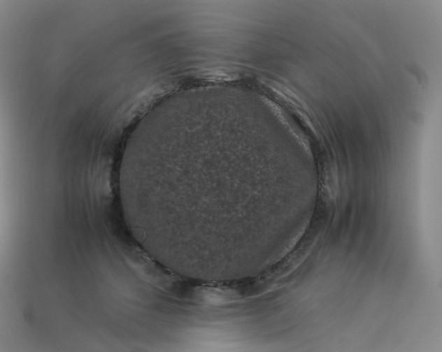 X0000114090512200910191606