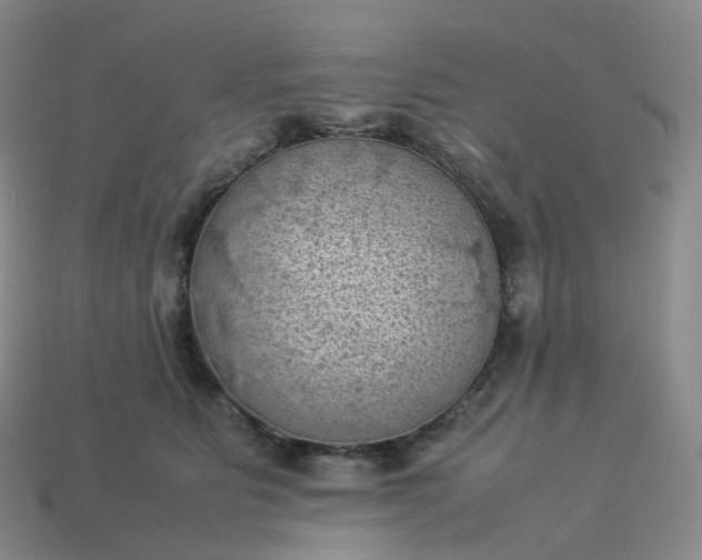 X0000114090515200910191606