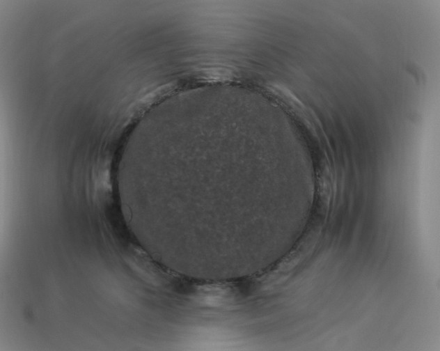 X0000114090516200910191606