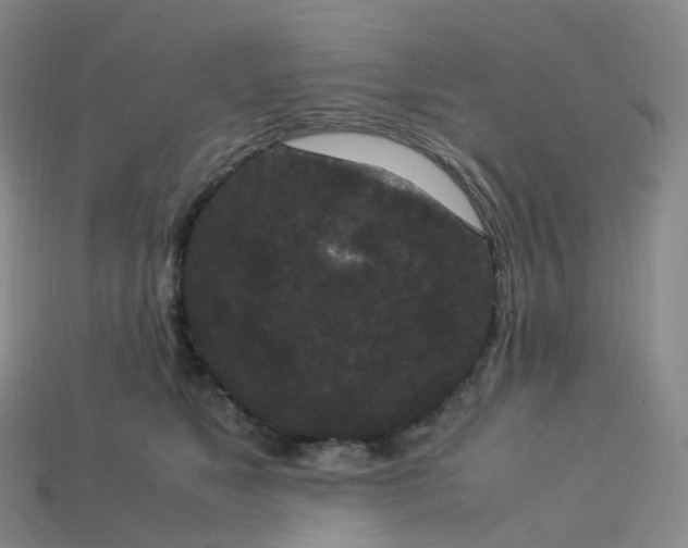 X0000114090517200910191606