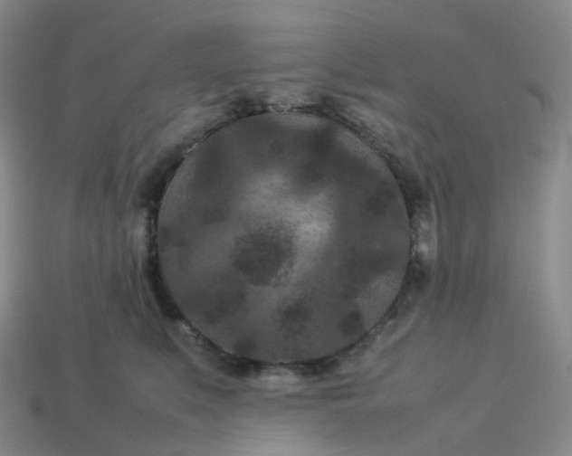 X0000114090519200910191606