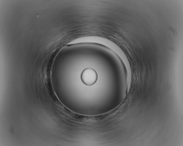 X0000114090520200910191606
