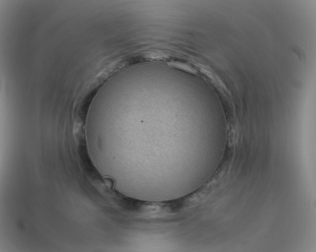 X0000114090521200910191606