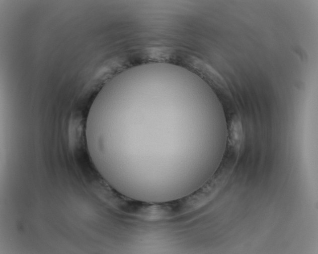 X0000114090522200910191606