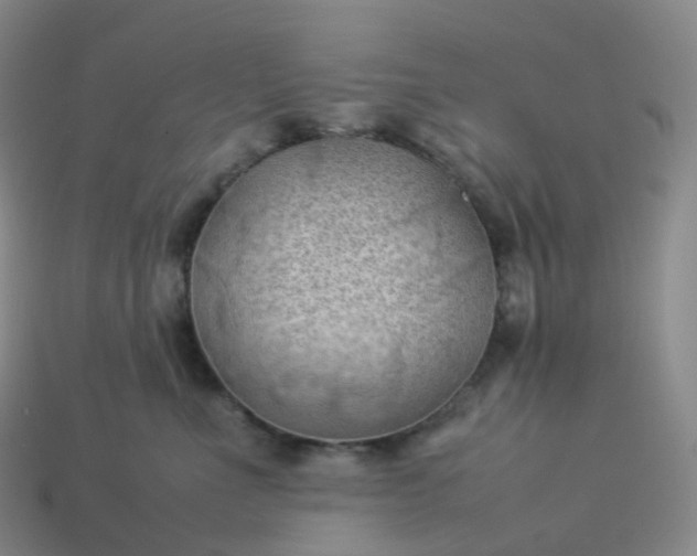 X0000114090523200910191606