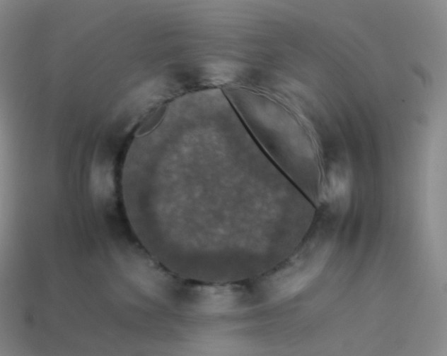 X0000114090524200910191606