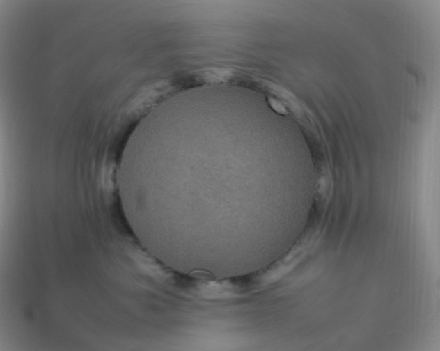 X0000114090525200910191606