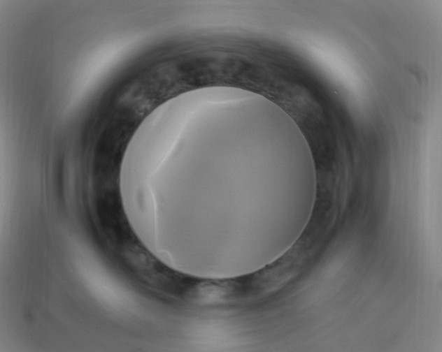 X0000114090526200910191606
