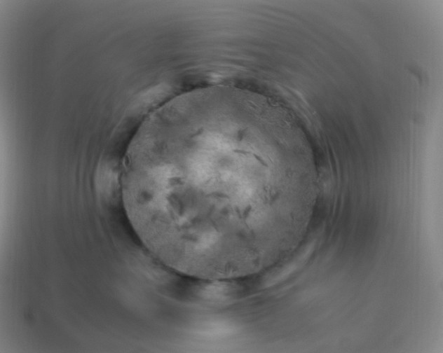 X0000114090527200910191605