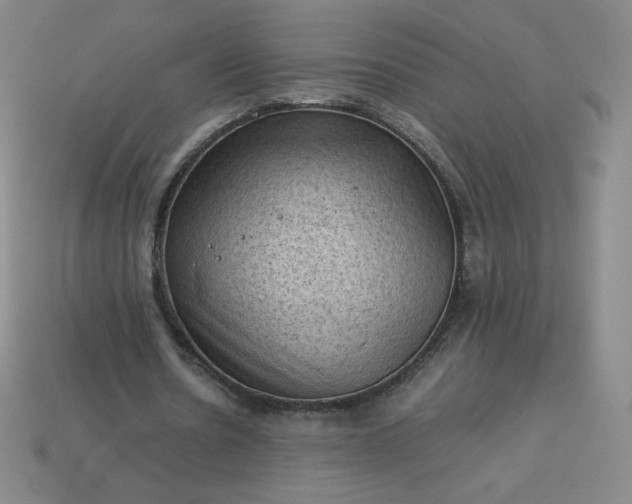 X0000114090530200910191605