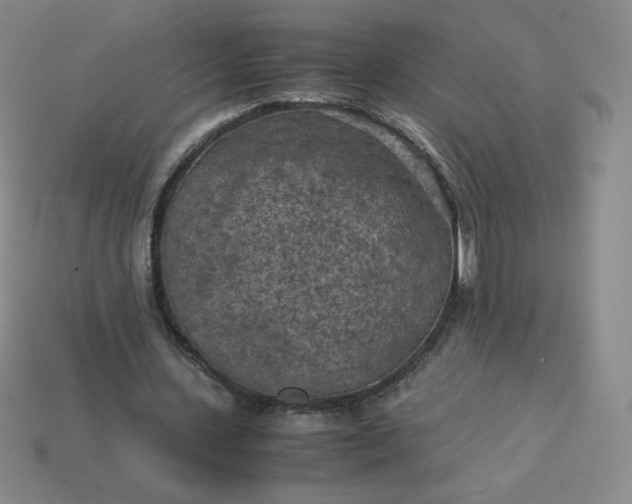 X0000114090531200910191605