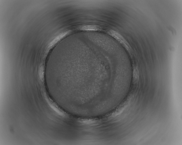X0000114090533200910191605